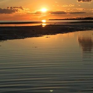 Meet your Posher, Gilbert